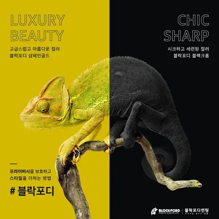 부천에도 블락포디썬팅 입점하였습니다~ / 부천 원미구 상동