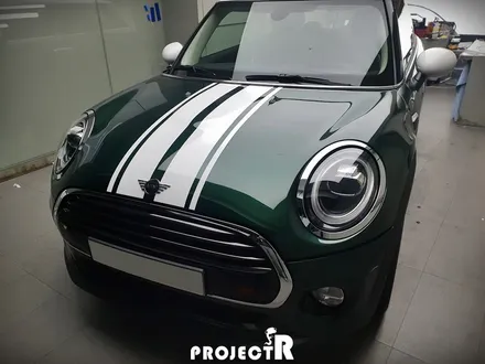BMW 미니 쿠퍼 바이퍼라인 데칼 시공 후기 by 부천 부분 포인트 랩핑 전문 프로젝트R / 부천 원미구 상동