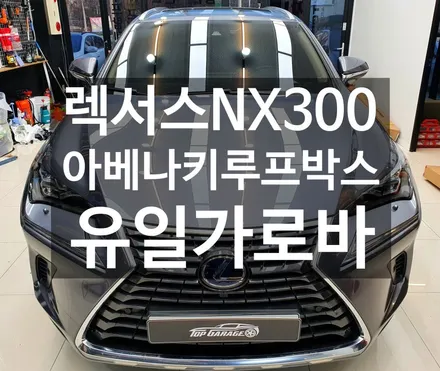 #순천렉서스NX300아베나키루프박스 #순천렉서스NX300유일가로바 #순천아베나키루프박스 #순천유일가로바 #순천토탈멀티샵 #순천탑게라지 / 순천, 여수, 광양
