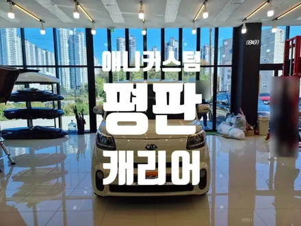 애니커스텀 레이 루프 바스켓 루프 평판 캐리어 전남 탑게라지 / 순천, 여수, 광양