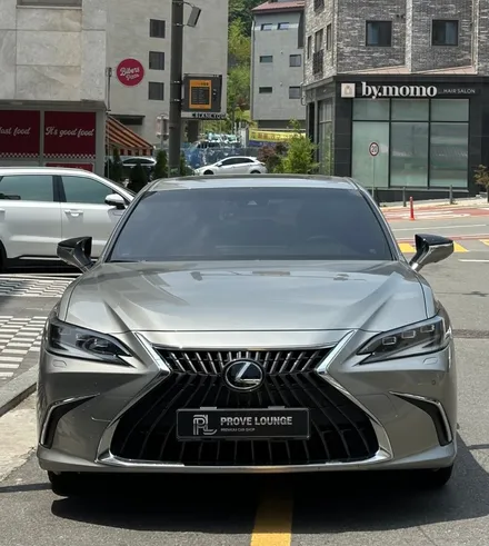 광교, 용인 오바이트 구토제거 \' 렉서스 ES300h \' 2열시트 탈거 부분크리닝! / 성남, 판교, 분당, 용인