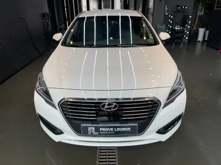 궁내동 손세차 \'LF 소나타\' 겨울철 잦은 눈, 비, 염화칼슘 등으로 인해쉽게 쌓인 유막, 유막 제거 발수코팅으로 안전한 시야 확보 및 디테일링까지 / 성남, 판교, 분당, 용인