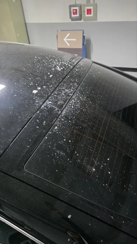 강남, 잠실, 서초 백화점 주차장 석회물피해 복원 \' 벤츠 GT43 AMG \' 비용부담 일절없이 일상배상책임 보상! / 성남, 판교, 분당, 용인
