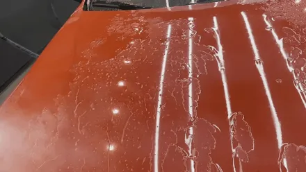 [ 판교 디테일링세차 전문점 ] 세차를 오랫동안 못한 \' BMW 420D \' 프루브디테일링으로 한방에 오염물 삭제 / 성남, 판교, 분당, 용인
