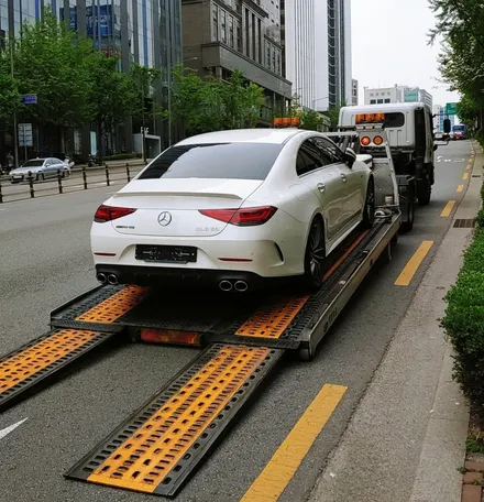 CLS53 AMG 무광PPF 유광을 무광으로 변신시켰어요~ / 강남구 역삼동