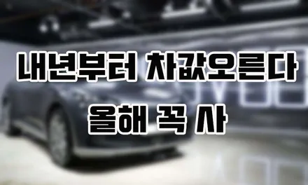 내년 개소세 인하 종료 차는 올해 꼭 사세요 / 강남구 역삼동