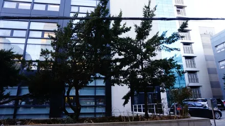 강남유리막코팅 BMW 5시리즈 슈니트S5로 관리 끝~!! / 강남구 역삼동