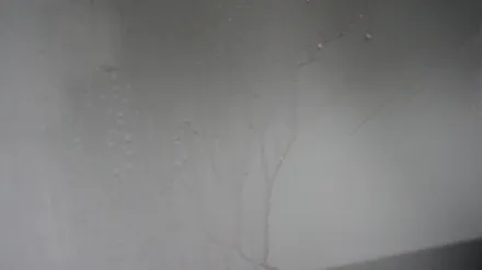 삼성동PPF/ 상온에서 스크래치가 저절로 사라지는 필름으로 카이엔 한바퀴 둘러줬어요~^^ -카이엔 전체PPF Part2(완결편) / 강남구 역삼동