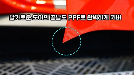 강남 전체PPF 잘 하는 곳 포르토피노 전체작업 완결편 / 강남구 역삼동