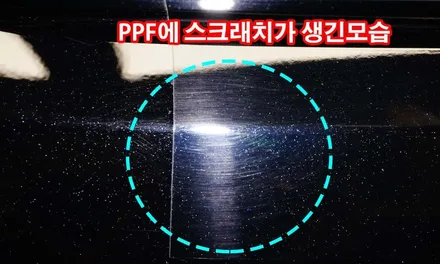 스크래치가 생기는 즉시 자동복원되는 PPF 슈니트SC-5 / 강남구 역삼동