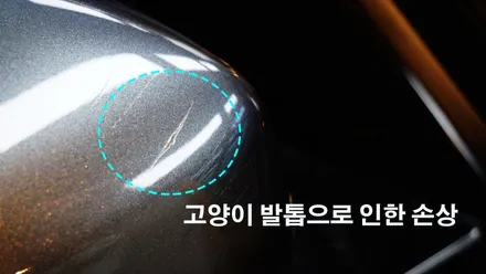 길냥이의 발톱 스크래치 방어를 위해 BMW 330i PPF 루프, 트렁크 추가 시공했어요!! / 강남구 역삼동