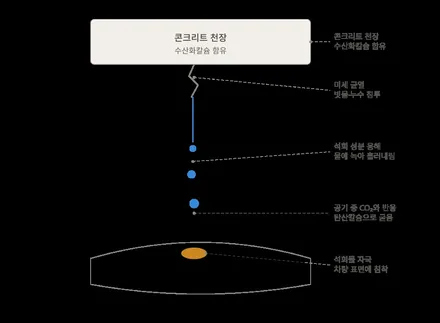 지하주차장 석회물 피해, 포르쉐 911 석회물 보상까지 슈니트 PPF 복원 후기 / 강남구 역삼동