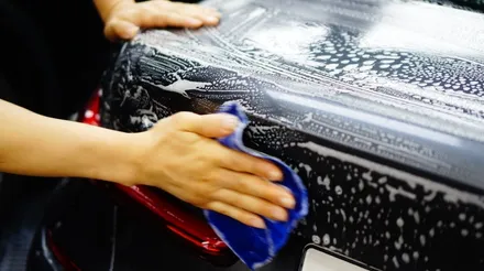 길냥이의 발톱 스크래치 방어를 위해 BMW 330i PPF 루프, 트렁크 추가 시공했어요!! / 강남구 역삼동