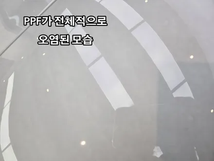 타이칸 PPF세차/세차장에서 못 지우는 때 슈니트 강남본점에서 해결했어요. / 강남,역삼,서초