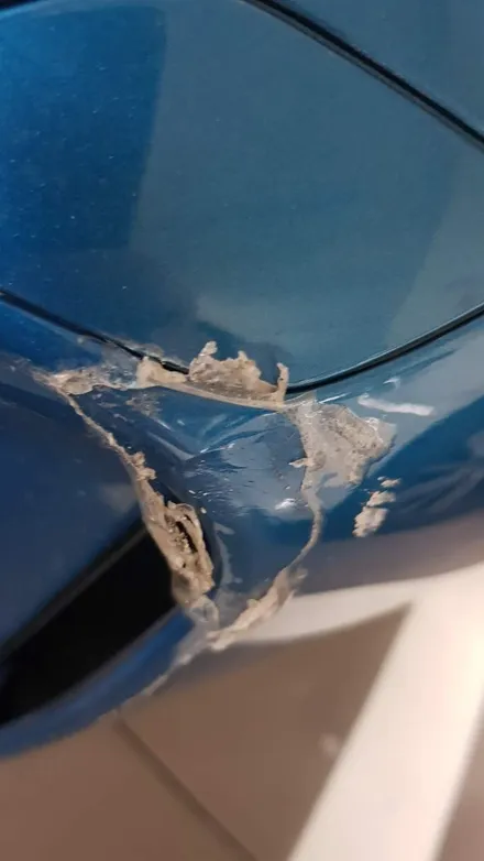 BMW M2 앞범퍼 사고나서 도색하고 PPF 재시공 받았어요~ / 강남구 역삼동