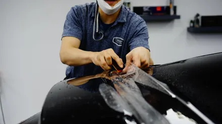 카이엔쿠페PPF 성지이니 만큼 작업퀄리티 매우 만족했습니다. / 강남구 역삼동