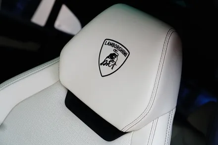 우르스 SE 전체 PPF 당분간 차를 바꾸지는 않을 것 같아요 / 강남구 역삼동