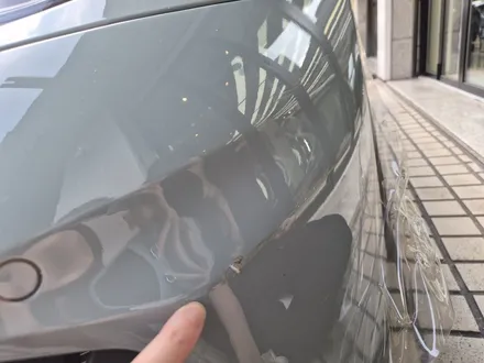 911 PPF 보험처리 쉐이드 그린 정말 다행입니다 / 강남구 역삼동