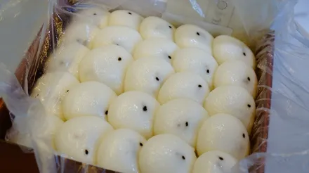 우라칸 에보스파이더 전체PPF 사장님의 미소가 좋아요^^* / 강남,역삼,서초
