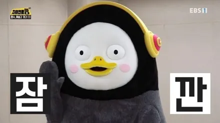 레인지로버 보그 전체PPF  인천에서 강남까지 찾아와주셨어요~ / 강남구 역삼동