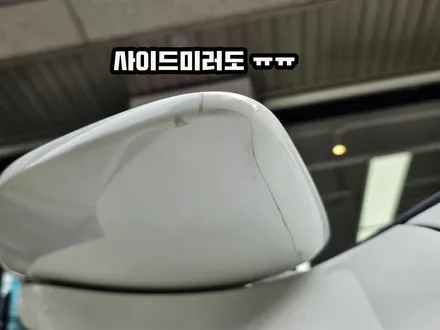 911 PPF 터보S 다 떼고 다시 해 달라고 했네요ㅠㅠ /슈니트 강남 / 강남,역삼,서초