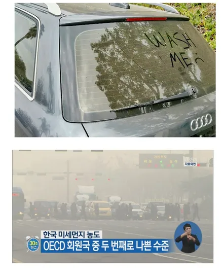 PPF  왜 필요할까? / 강남구 역삼동