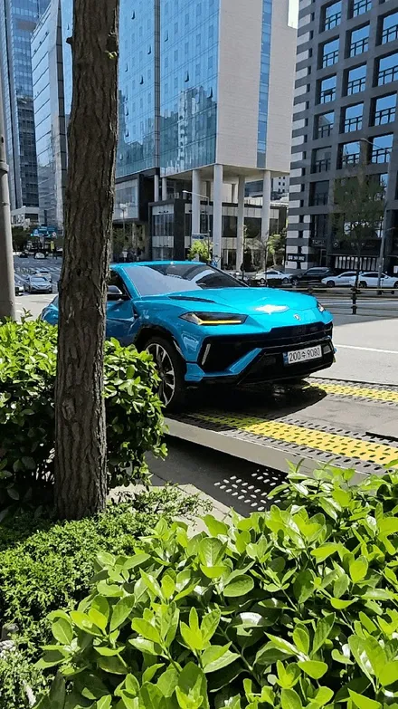 우르스S 전체PPF 윈드쉴드 실내PPF 가죽코팅 슈니트 / 강남,역삼,서초