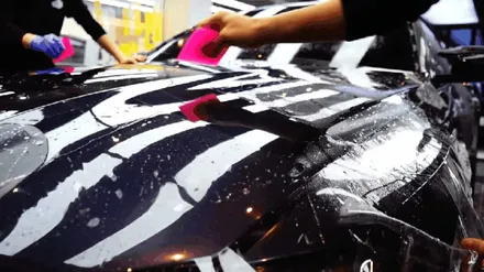 BMW M4 PPF 전면부 보호와 유리막코팅(feat. 50주년 에디션) / 강남구 역삼동