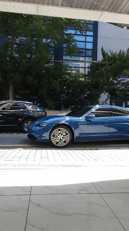 타이칸 전체PPF 넵튠블루 강남PPF / 강남,역삼,서초