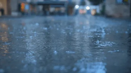 지바겐 무광 PPF로 마그노 히어로 에디션 완성했습니다. / 강남,역삼,서초