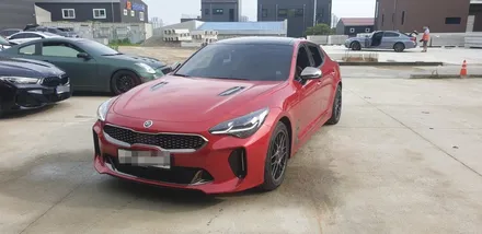 [천안랩핑][천안전체랩핑] S/G 에스게러지 스팅어 3.3 카스킨 / 천안 업성동