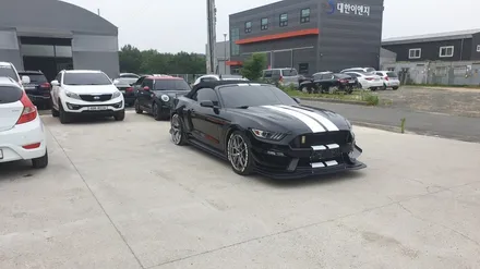 [천안랩핑][천안부분랩핑] S/G 에스게러지 머스탱 gt 바이퍼라인 부분랩핑 / 천안 업성동