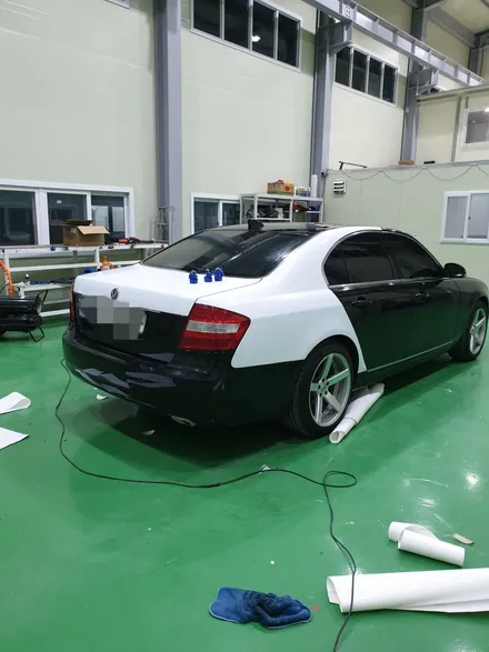 S/G 에스게러지 체어맨 W 카스킨 작업 / 천안 업성동