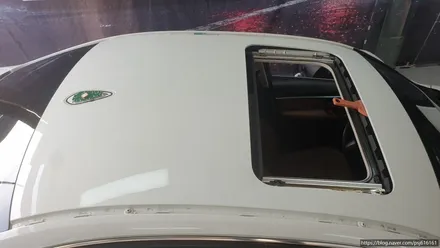 [천안랩핑] S/G 에스게러지 BMW 3시리즈 루프스킨 / 천안 업성동