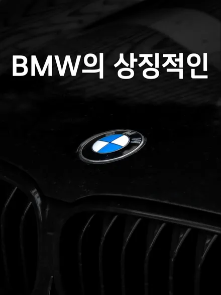 ix3 블랙 그릴 교체 tip / 수원 호매실동