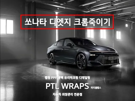 소나타 디엣지 크롬죽이기 / 수원 호매실동
