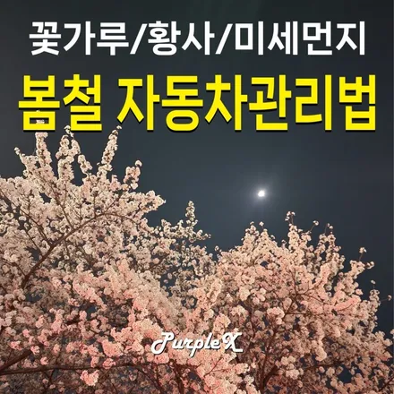 [퍼플 엑스](자동차 관리) 봄!! 꽃가루!! 미세먼지!! 자동차 관리법 / 강서, 염창, 등촌
