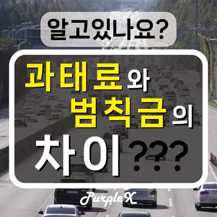 [퍼플엑스](자동차관리법) \'과태료\'와 \'범칙금\'의 차이 / 강서, 염창, 등촌