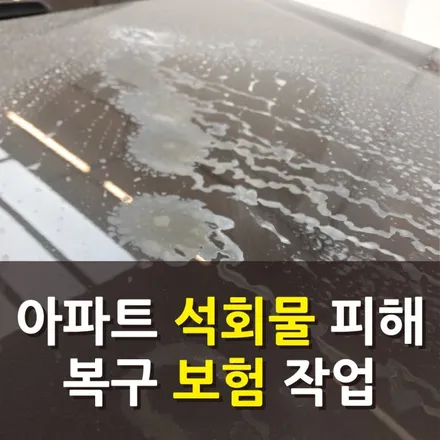 [서울목동] 기아 쏘렌토 아파트 석회물 피해 상해보험 작업 양천구/강서구 / 강서, 염창, 등촌