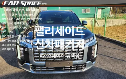 팰리세이드 완벽한 신차패키지!! / 평택시 도일동