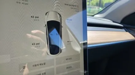 테슬라 고객분께서 신뢰하시는 테슬라 전문점! 모델Y 신차검수 / 평택시 도일동