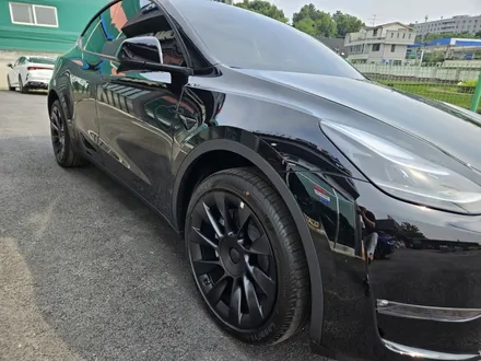 테슬라 신차패키지 전문매장 평택카스~ / 평택시 도일동