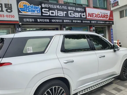 신차 쿠폰썬팅 안하고 넥스가드 필름으로 펠리세이드 썬팅시공사례