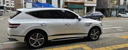 GV80 페리 우유니 화이트 전체 버텍스 1100 진한 블랙 컬러감 그래핀 코팅 / 고양 덕양구 원흥동