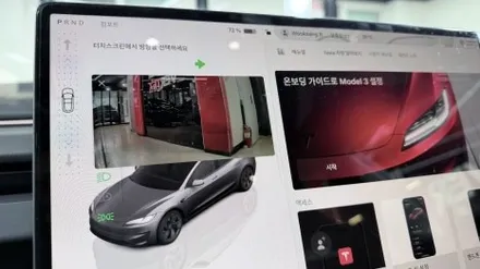 테슬라 모델 3 퍼포먼스 버텍스 1100 파이어볼 유리막코팅 / 고양 덕양구 원흥동