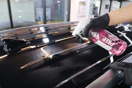 팰리세이드 로버스트 에메랄드 펄  완벽한 수정 버텍스 1100 디테일 시공까지 / 고양 덕양구 원흥동