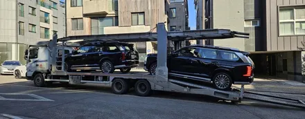 팰리세이드 LX3 블랙펄 2대 디테일 신차검수 인수거부/수정~! / 고양 덕양구 원흥동