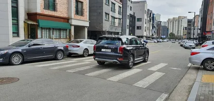 팰리세이드 신차검수 신차패키지 버텍스 1100 900 풀패키지 시공 루마 버텍스 고양원흥점 / 고양 덕양구 원흥동