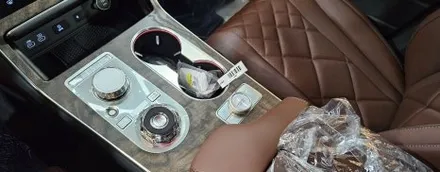 GV80 페리 마칼루 그레이 버텍스 1100 그래핀 코팅 / 고양 덕양구 원흥동