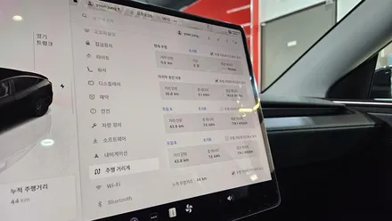 테슬라 주니퍼 블랙  신차검수 버텍스900 생활보호PPF / 고양 덕양구 원흥동